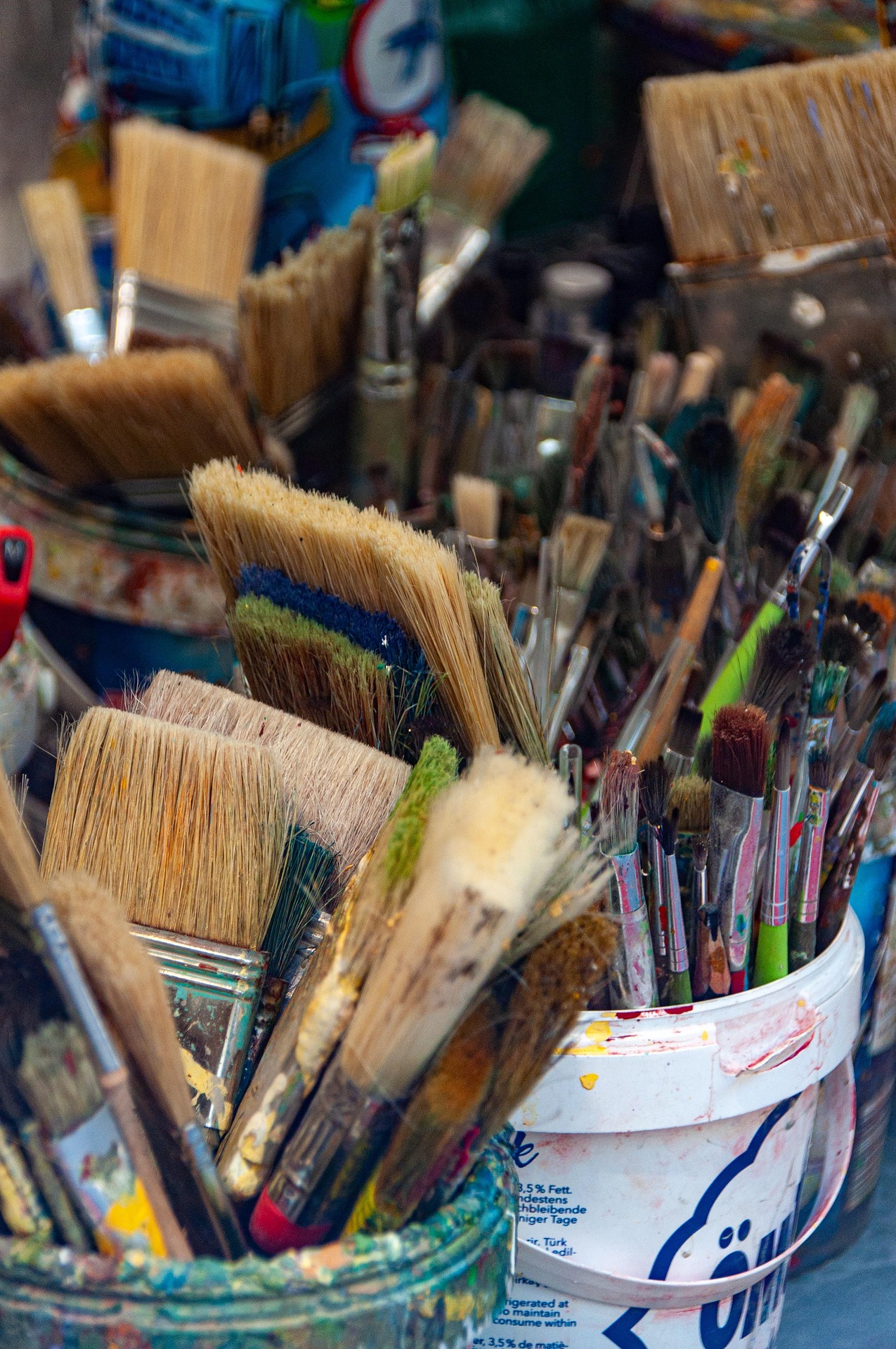 Clôture de Saisons Bio : invterventions artistiques